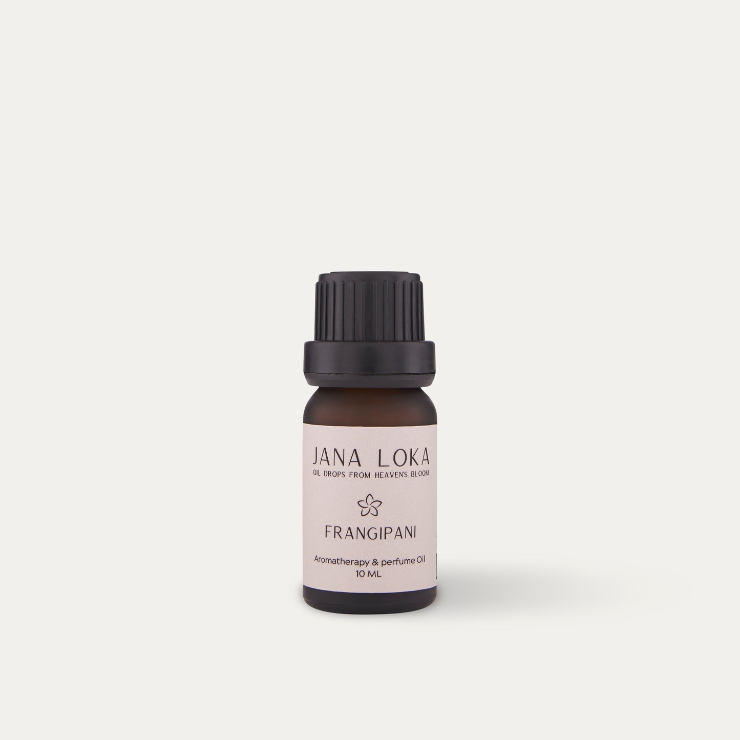 Frangipani Oil |  Timeless Velvet Bloom - שמן פראנג'יפאני